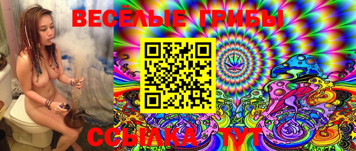 Галлюциногенные грибы MAGIC MUSHROOMS  Вход с VPN  Керчь 