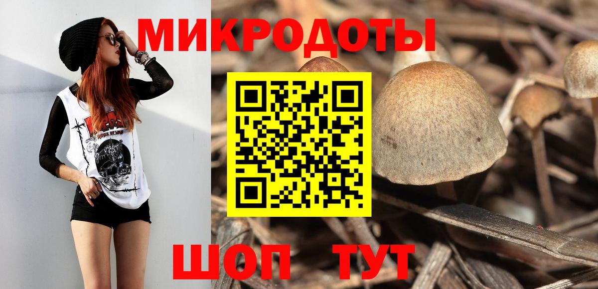 Псилоцибиновые грибы Cubensis Керчь